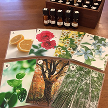 ワンセルフカード