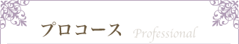 プロセラピスト養成講座