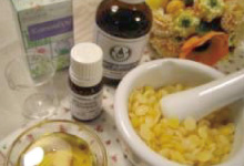 個人で楽しむカルチャーコース